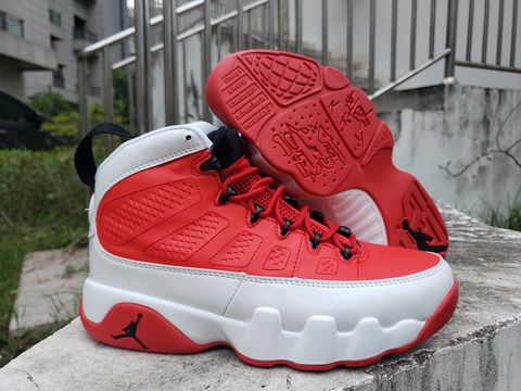 Air Jordan 9-141